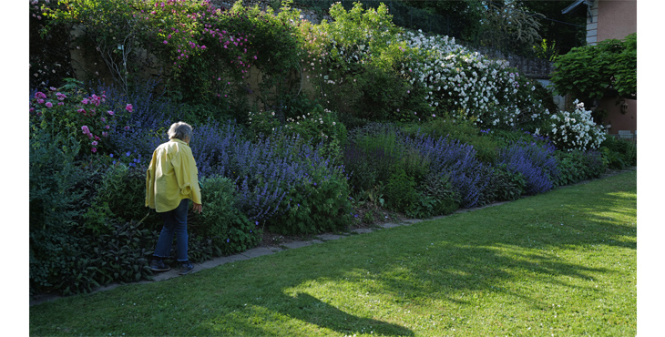 Le jardin le plus parfumé de Lyon