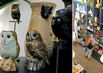 La boutique qui fait voyager