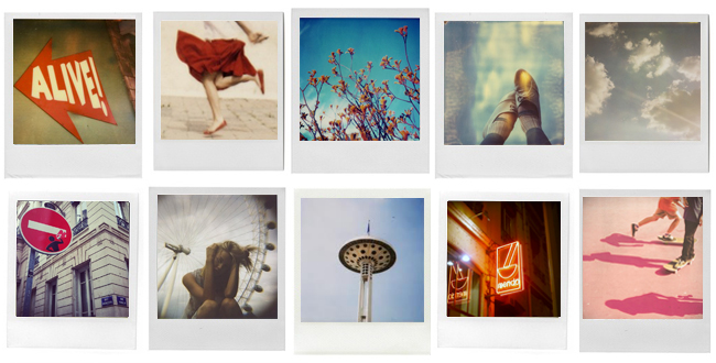 Safari polaroid Lyon