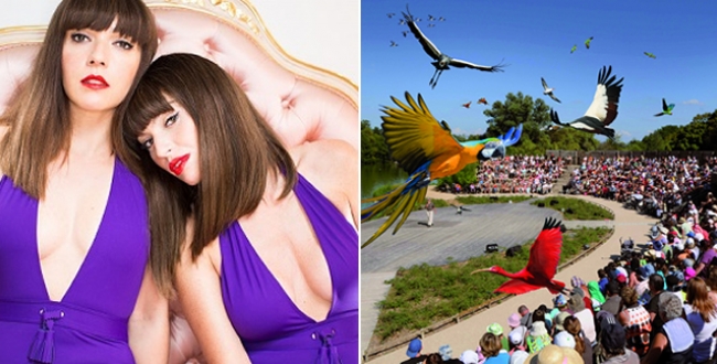 Le festival qui donne des ailes
