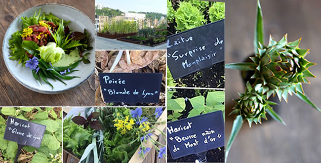 Jardiniers d'altitude