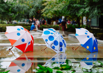 À lire si vous avez oublié votre parapluie